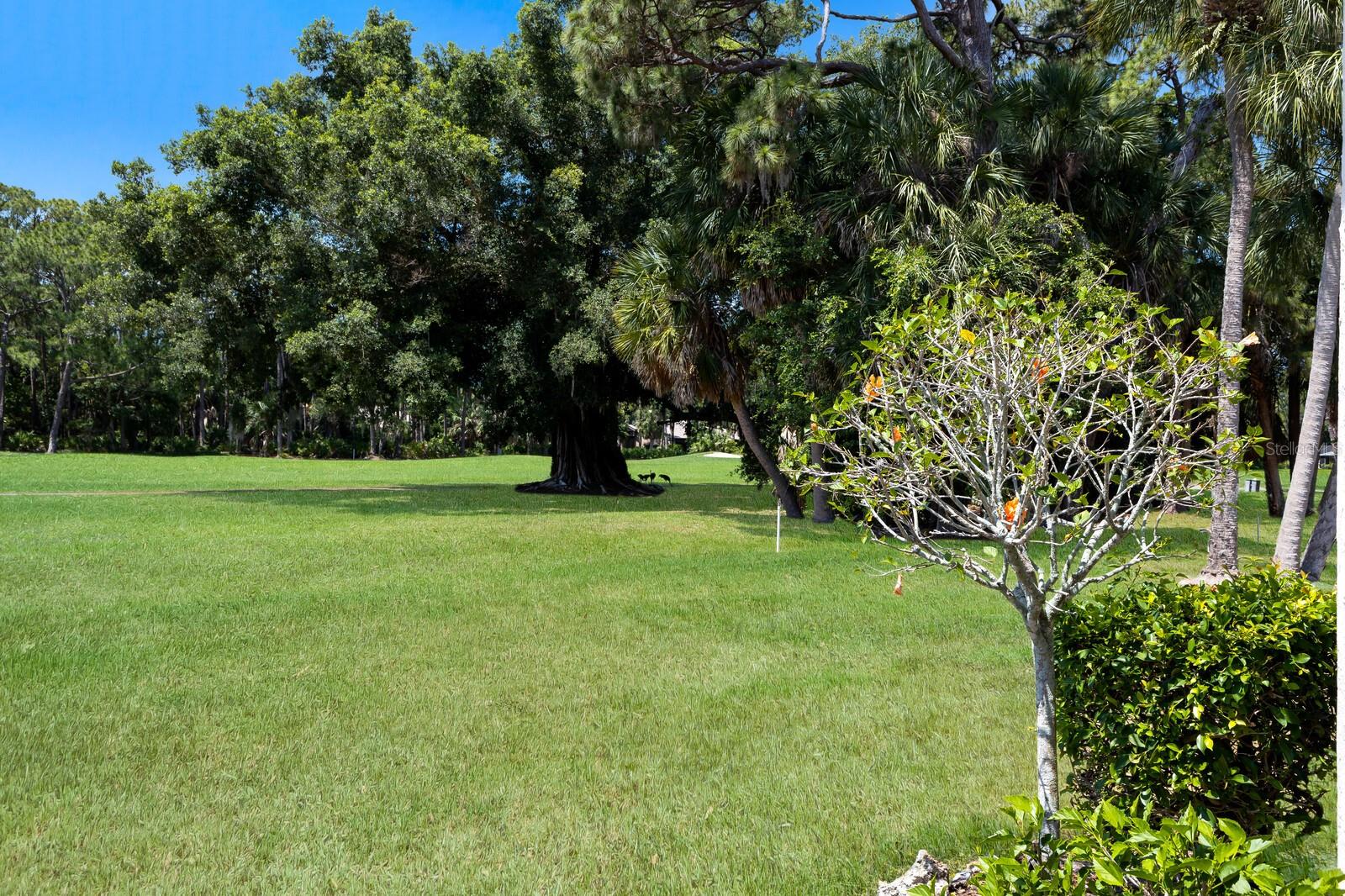 Image 24 of 29 For 4564 Longwater  53