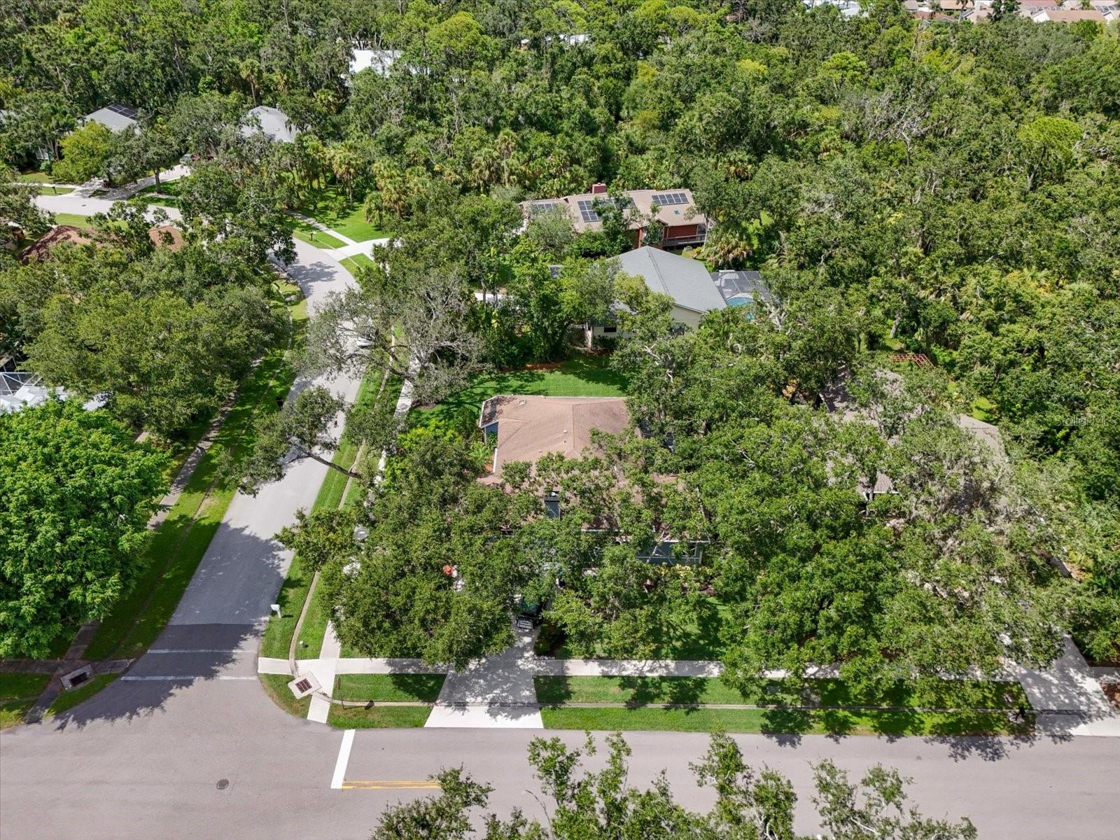 Image 48 of 51 For 5481 Cork Oak Street