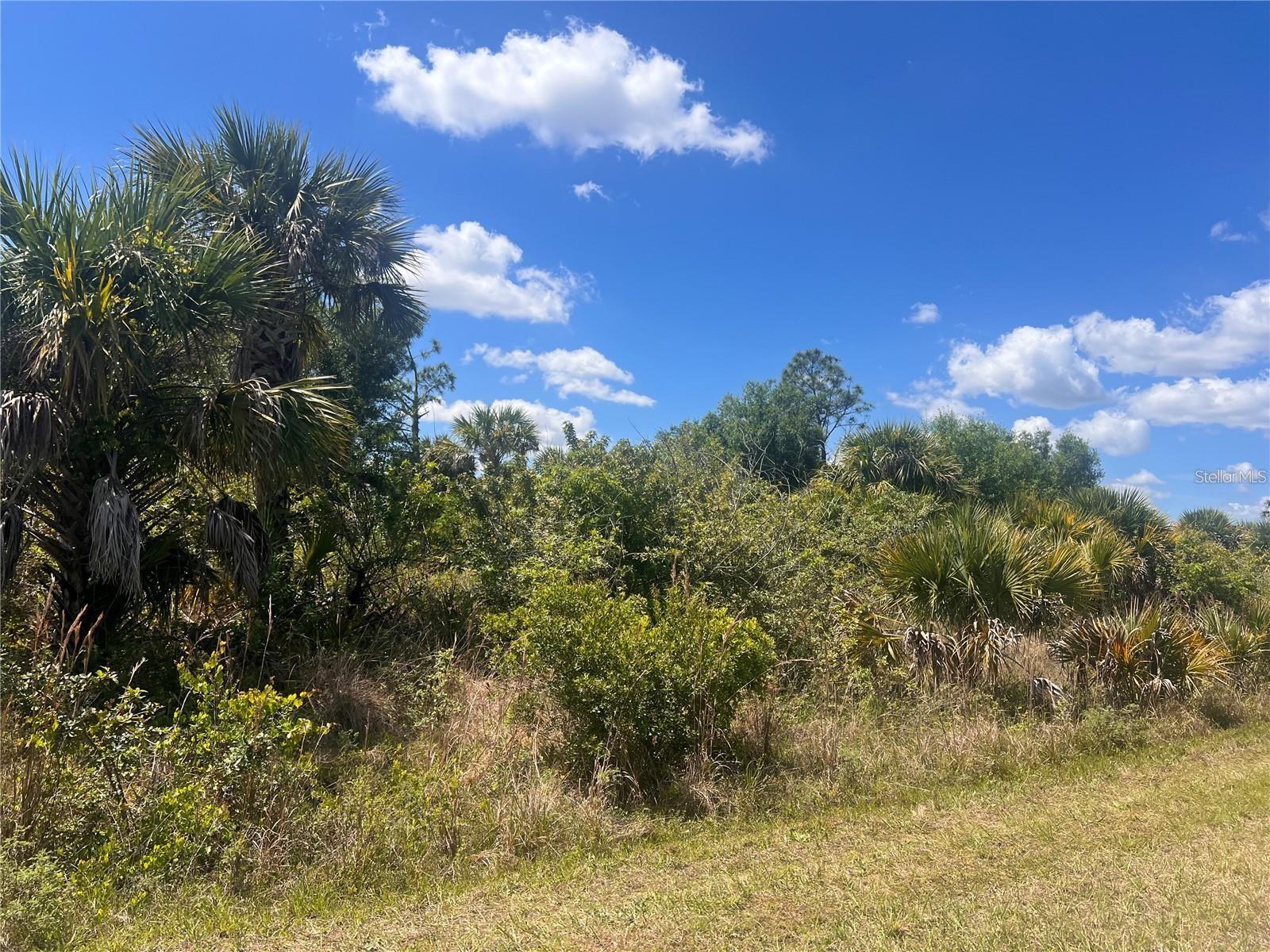 Details for Crimsonglory Road, NORTH PORT, FL 34288