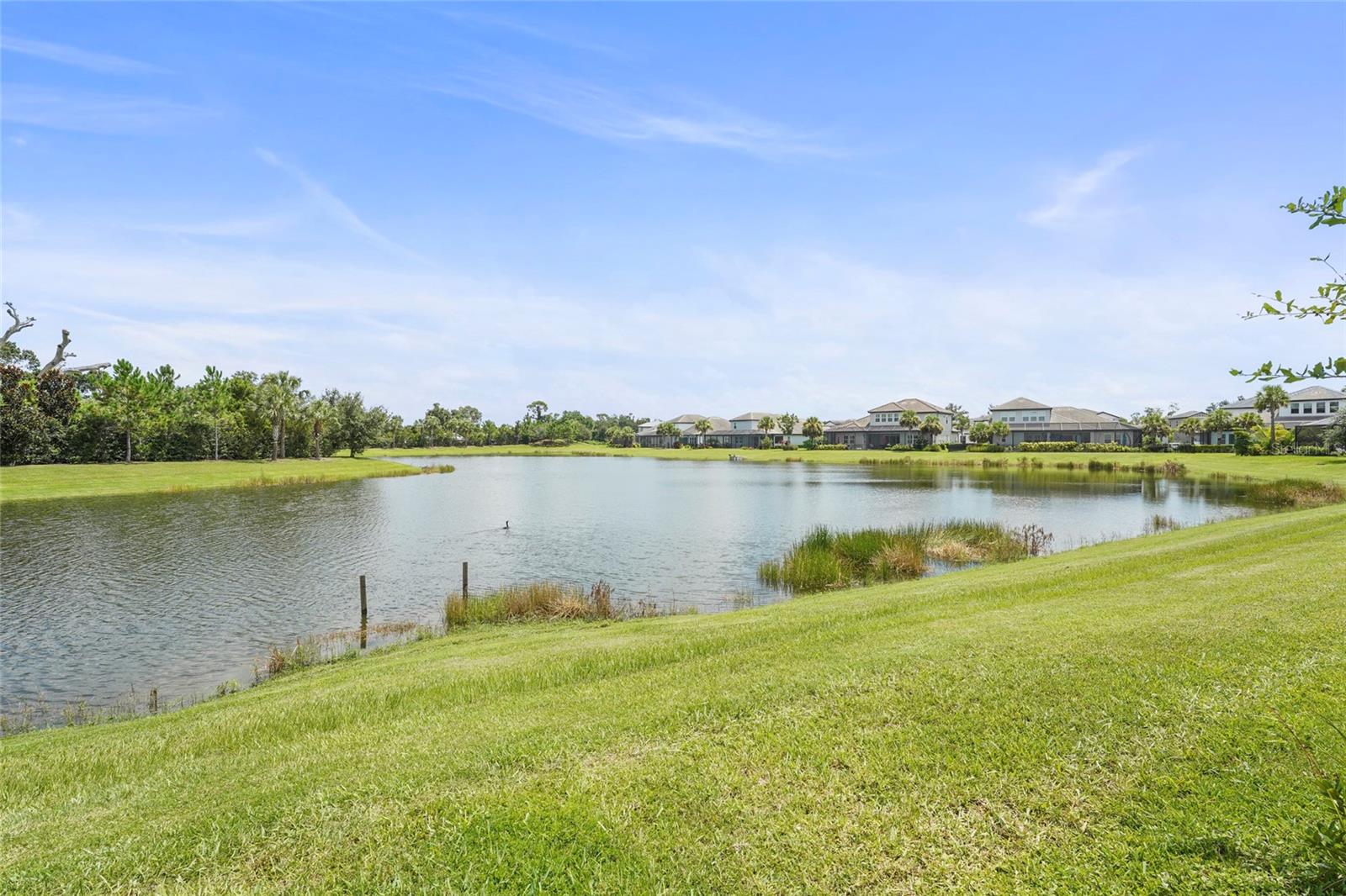 Image 85 of 91 For 6173 Lungo Lago Drive
