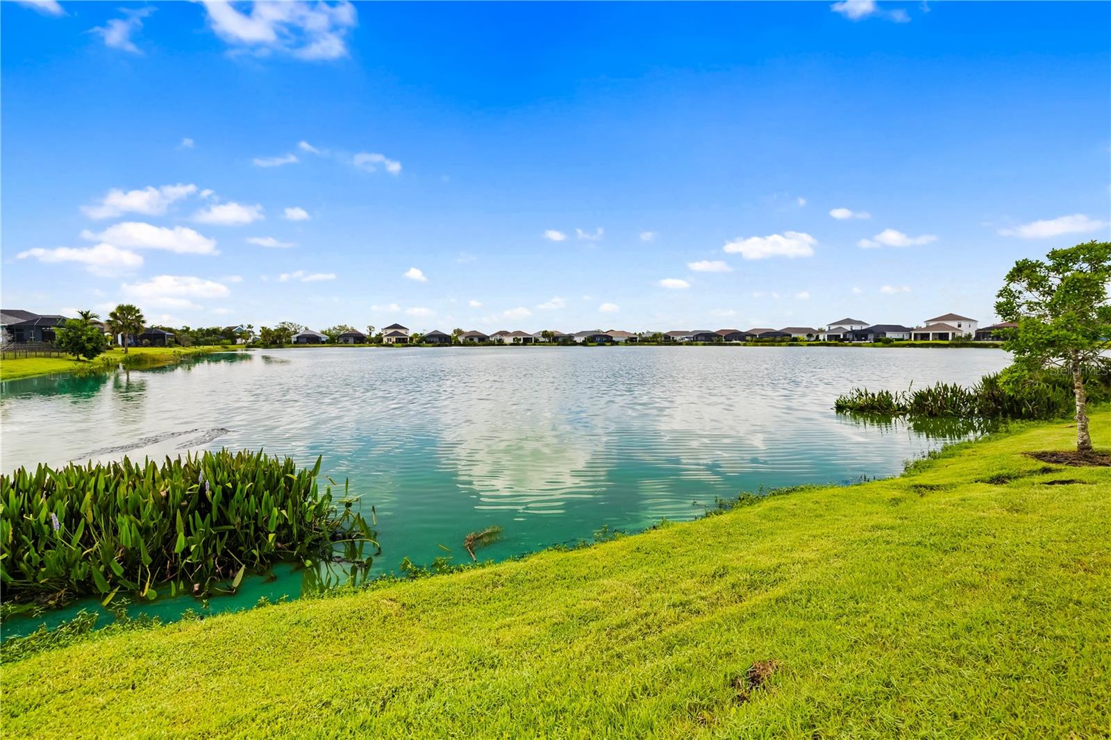 Image 36 of 70 For 4716 Foxtail Drive