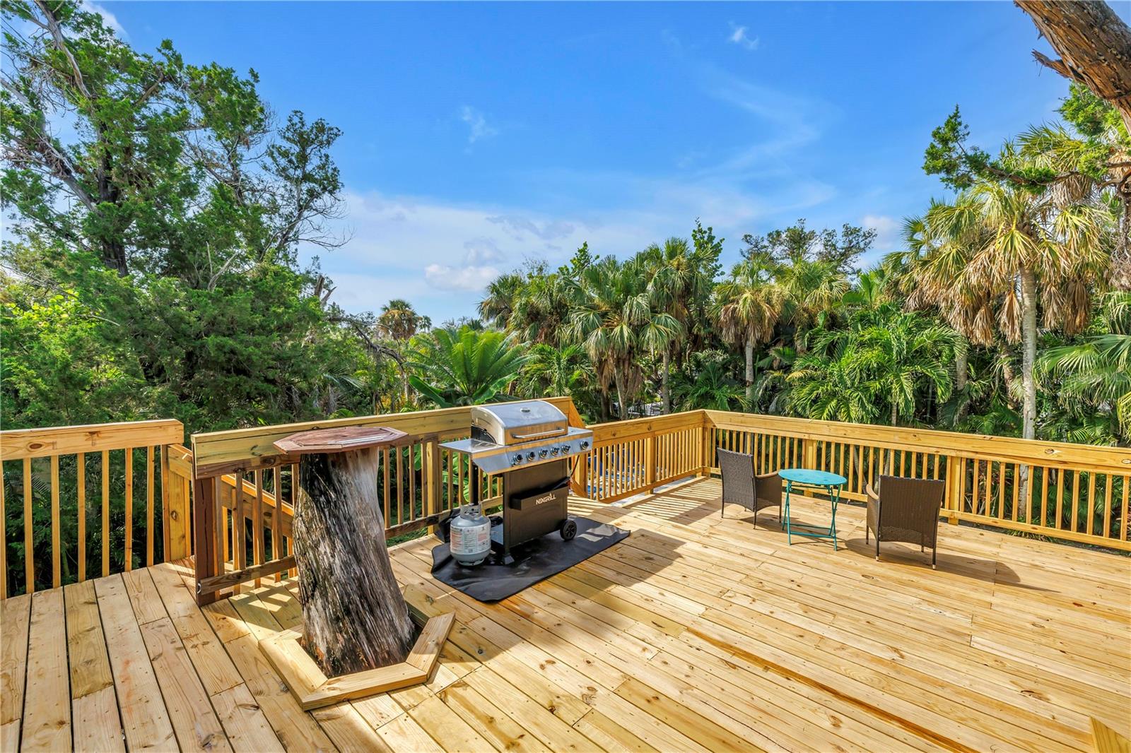 Image 50 of 67 For 156 Siesta Drive