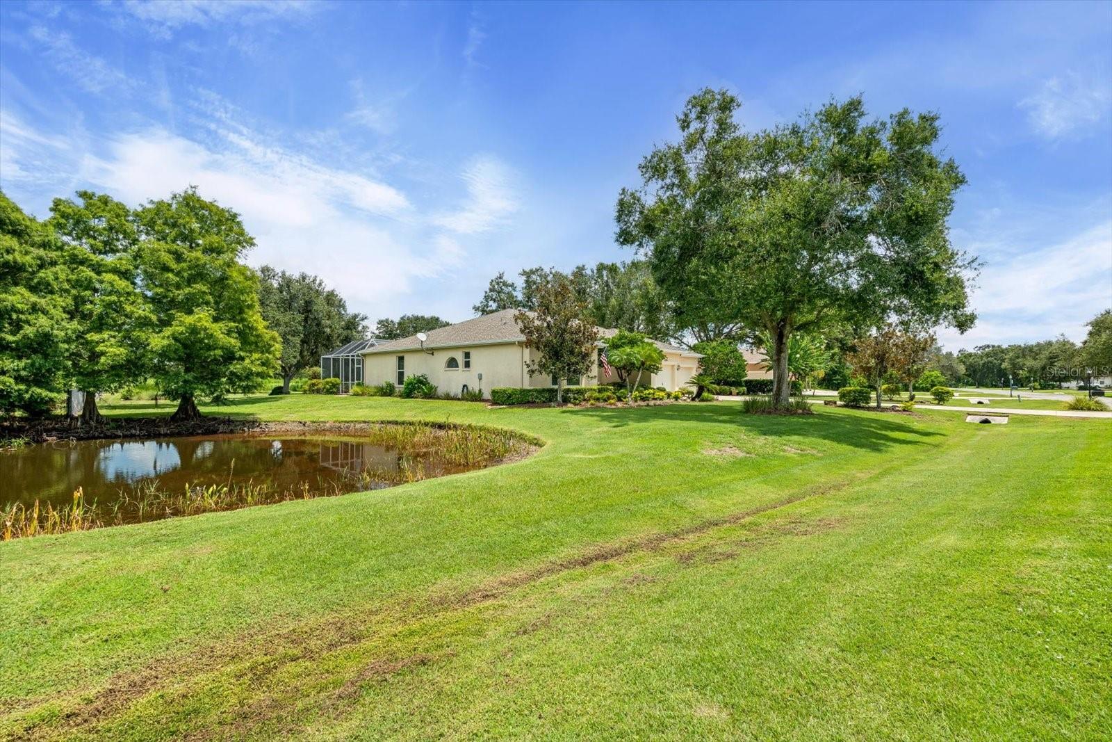 Image 4 of 64 For 1229 Palm View Road