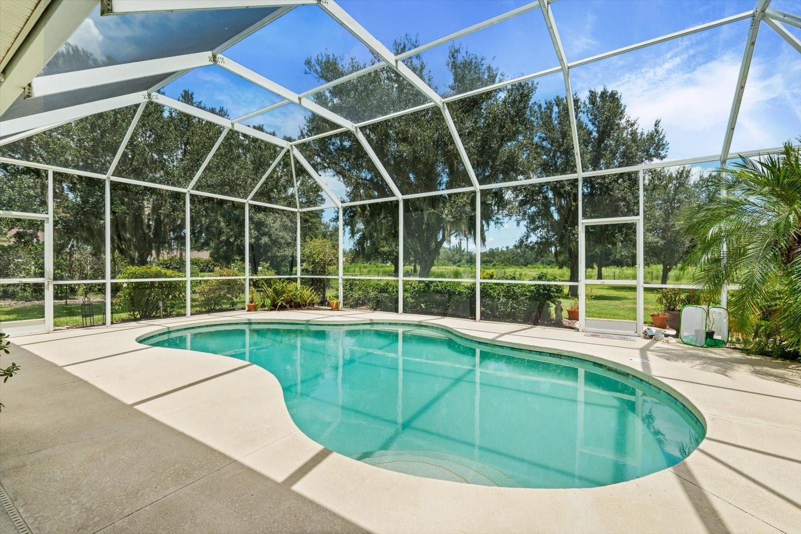 Image 46 of 64 For 1229 Palm View Road