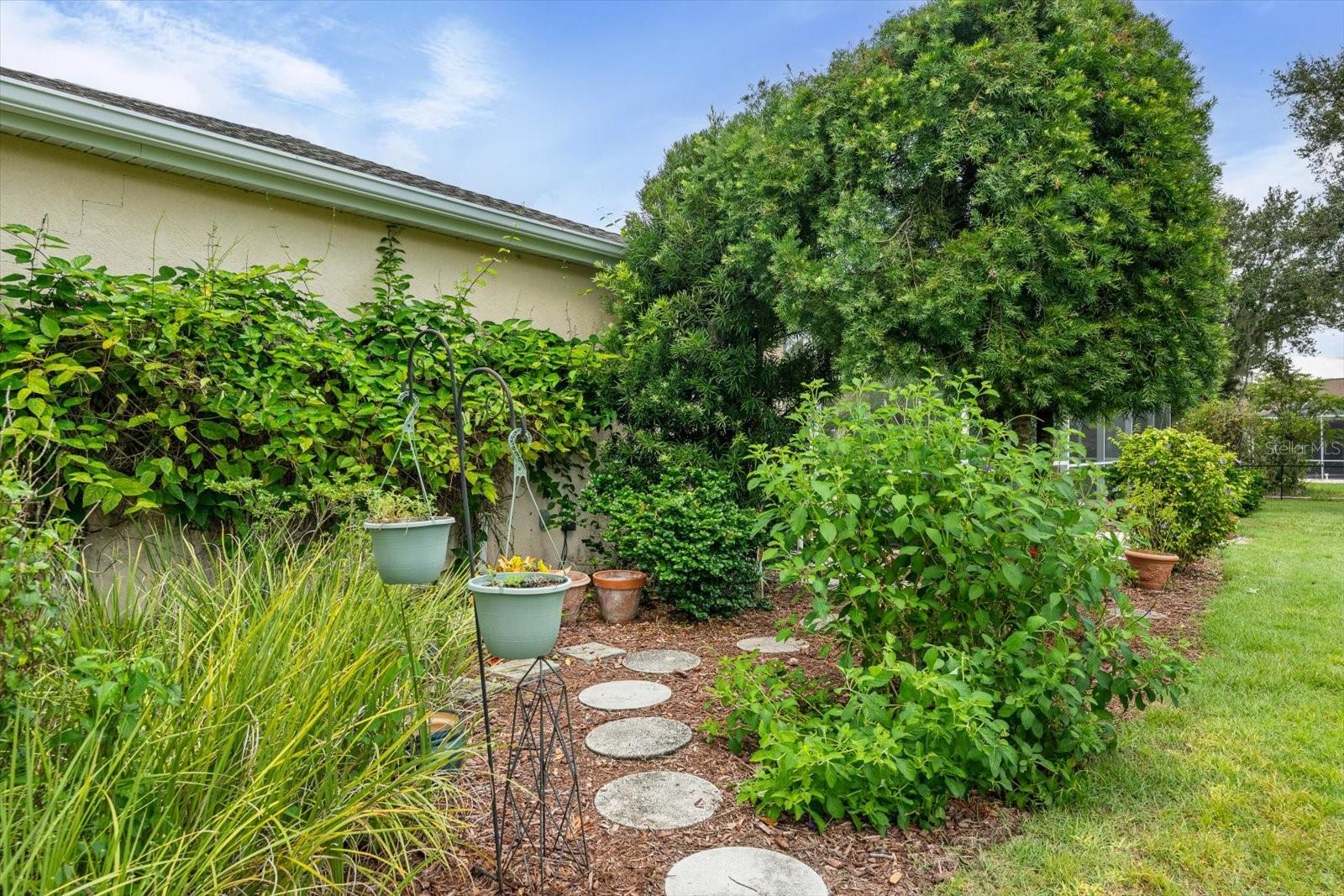 Image 48 of 64 For 1229 Palm View Road