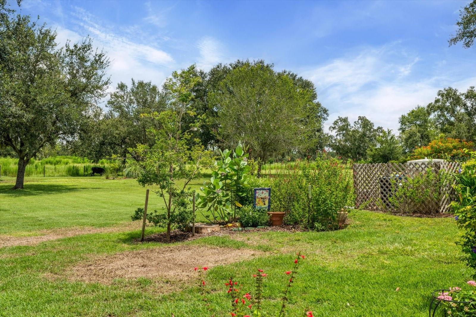 Image 49 of 64 For 1229 Palm View Road