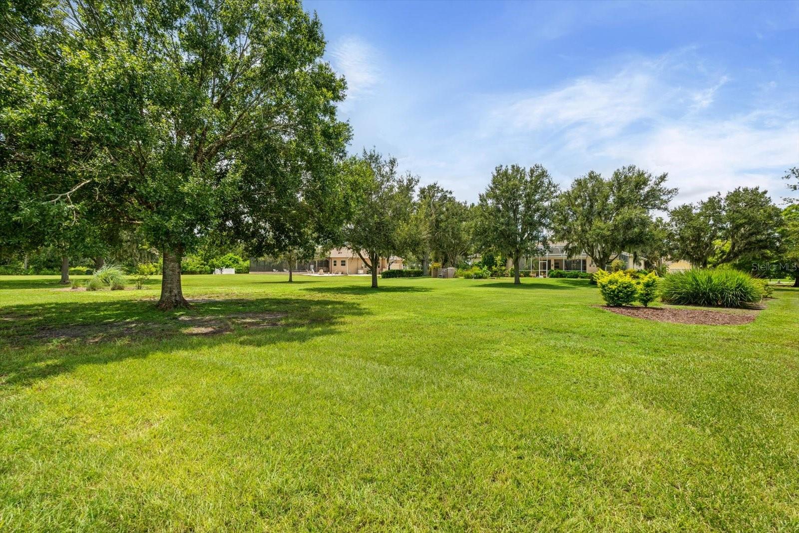 Image 50 of 64 For 1229 Palm View Road