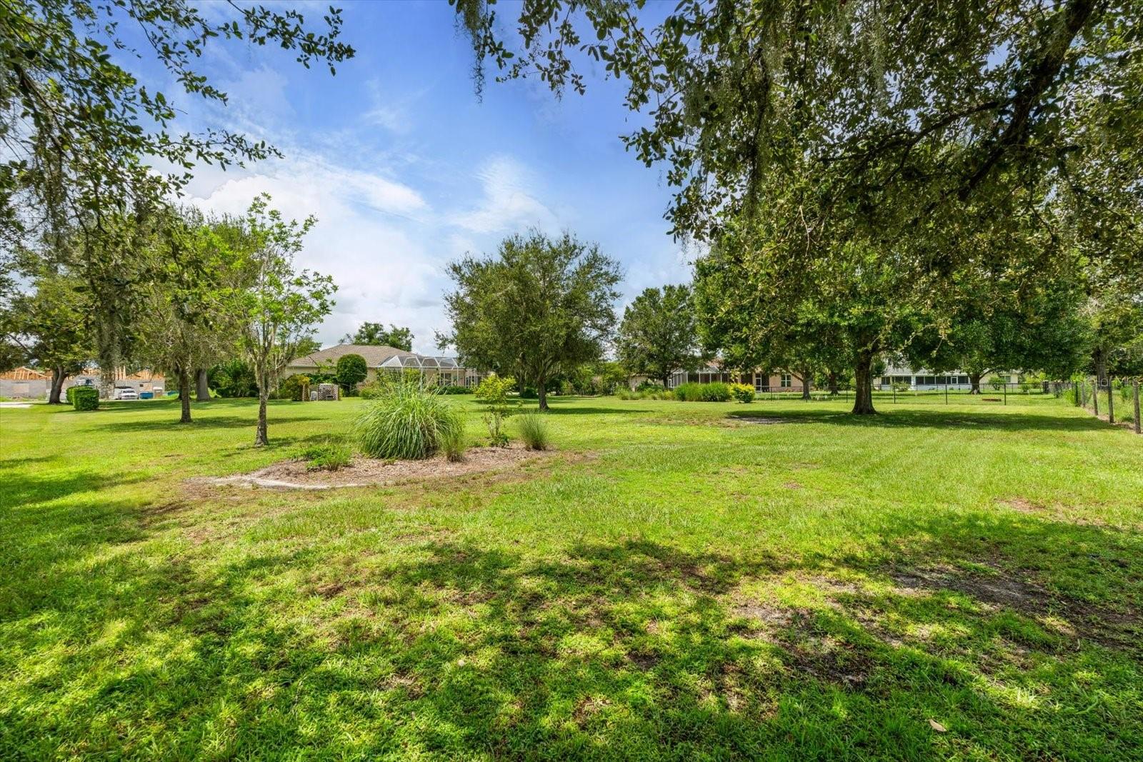 Image 52 of 64 For 1229 Palm View Road