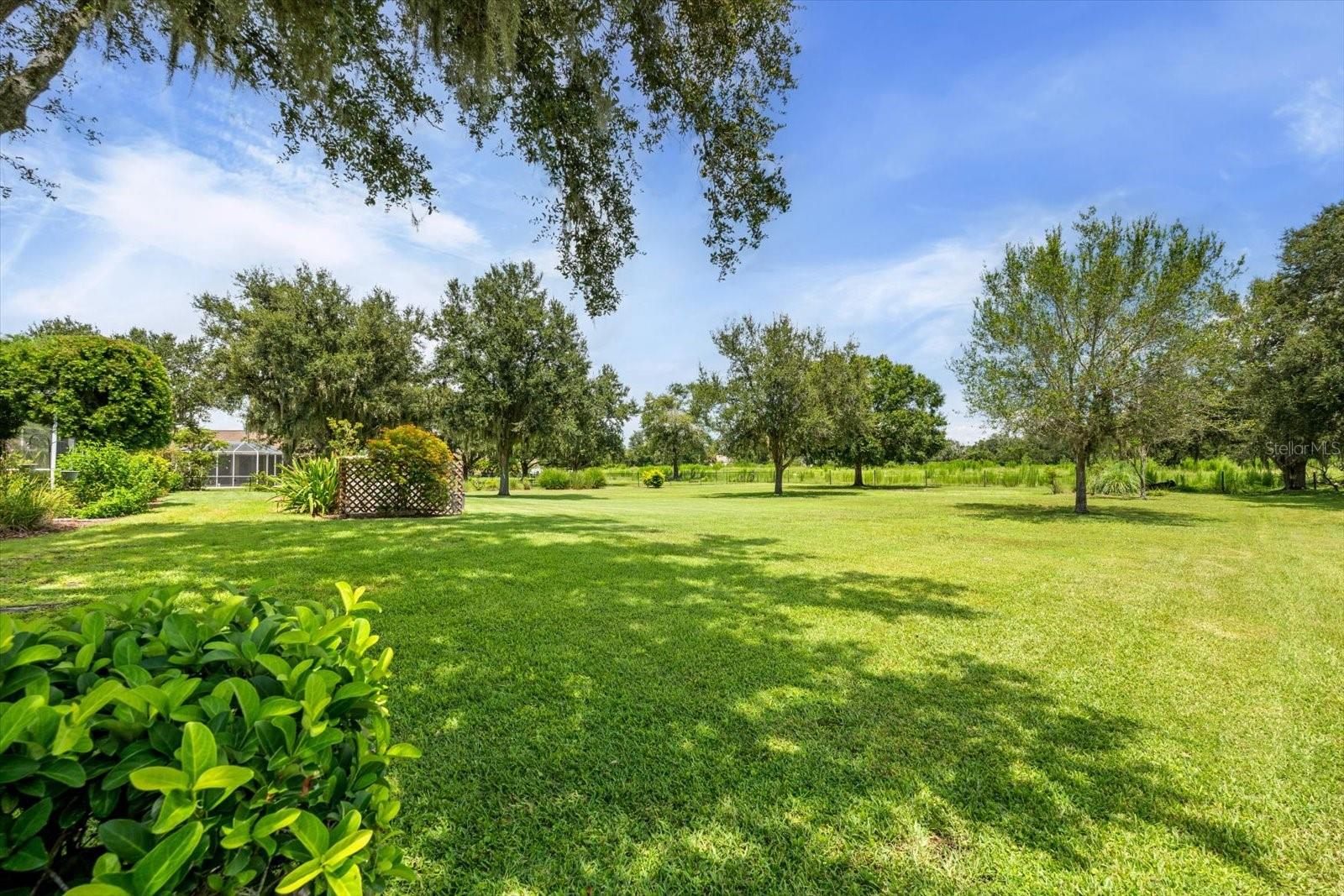 Image 53 of 64 For 1229 Palm View Road