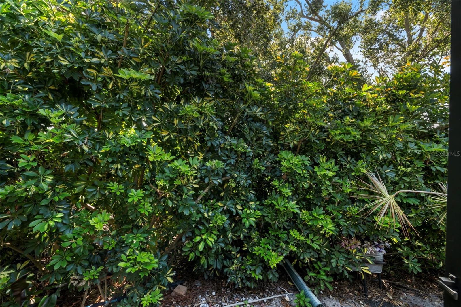 Image 57 of 69 For 8809 Havenridge Drive