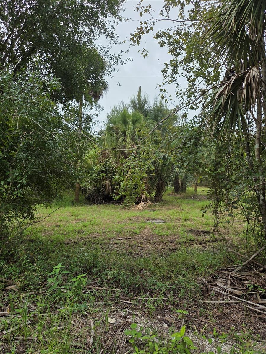 Image 10 of 13 For 12835 River Road
