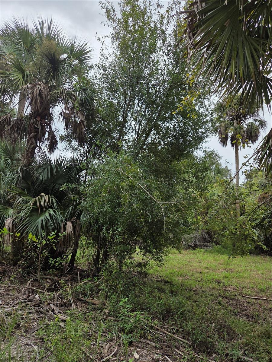 Image 11 of 13 For 12835 River Road