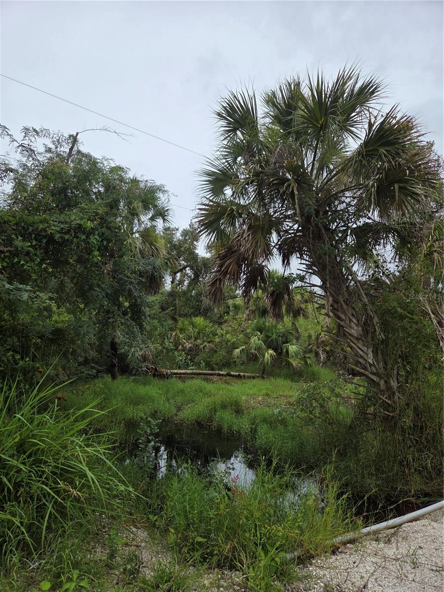 Image 6 of 13 For 12835 River Road
