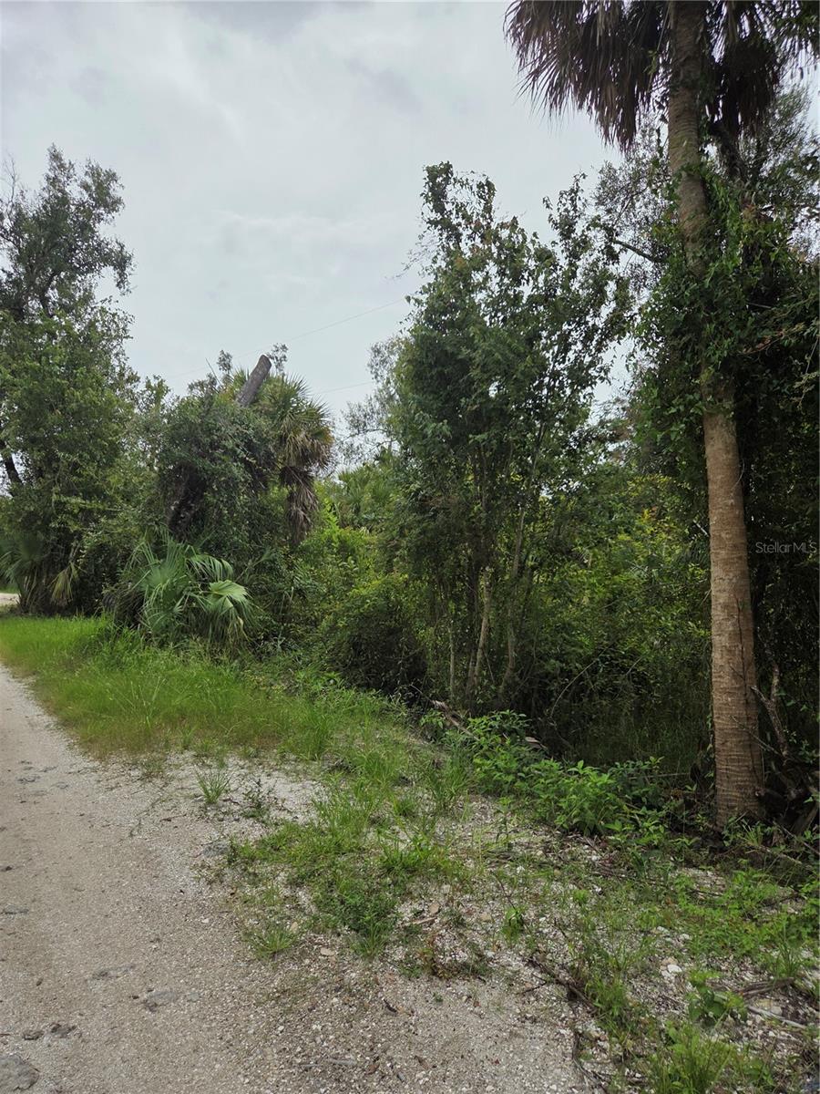Image 7 of 13 For 12835 River Road
