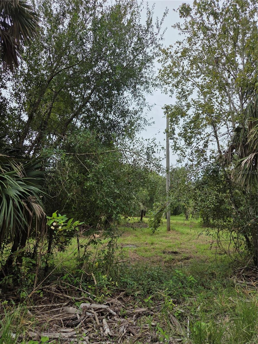 Image 8 of 13 For 12835 River Road