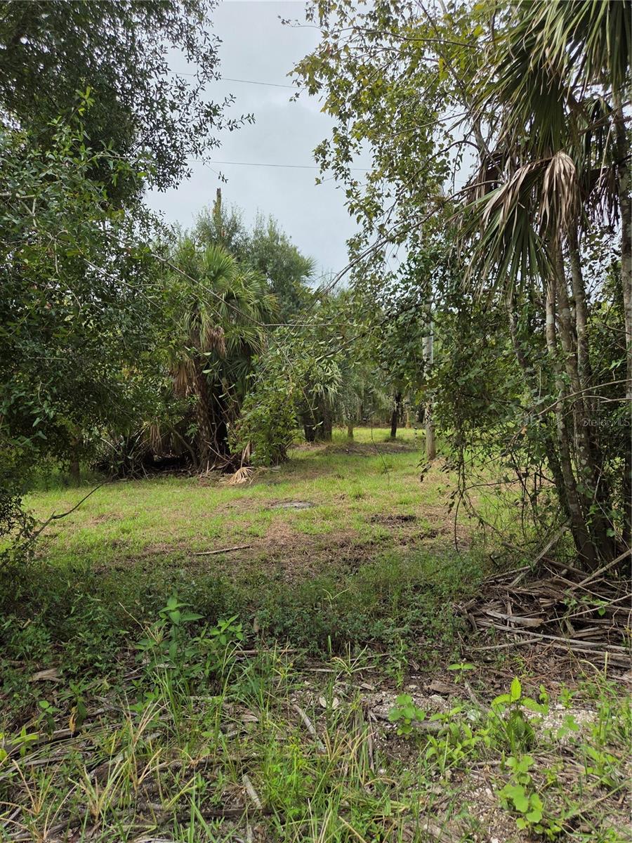 Image 9 of 13 For 12835 River Road