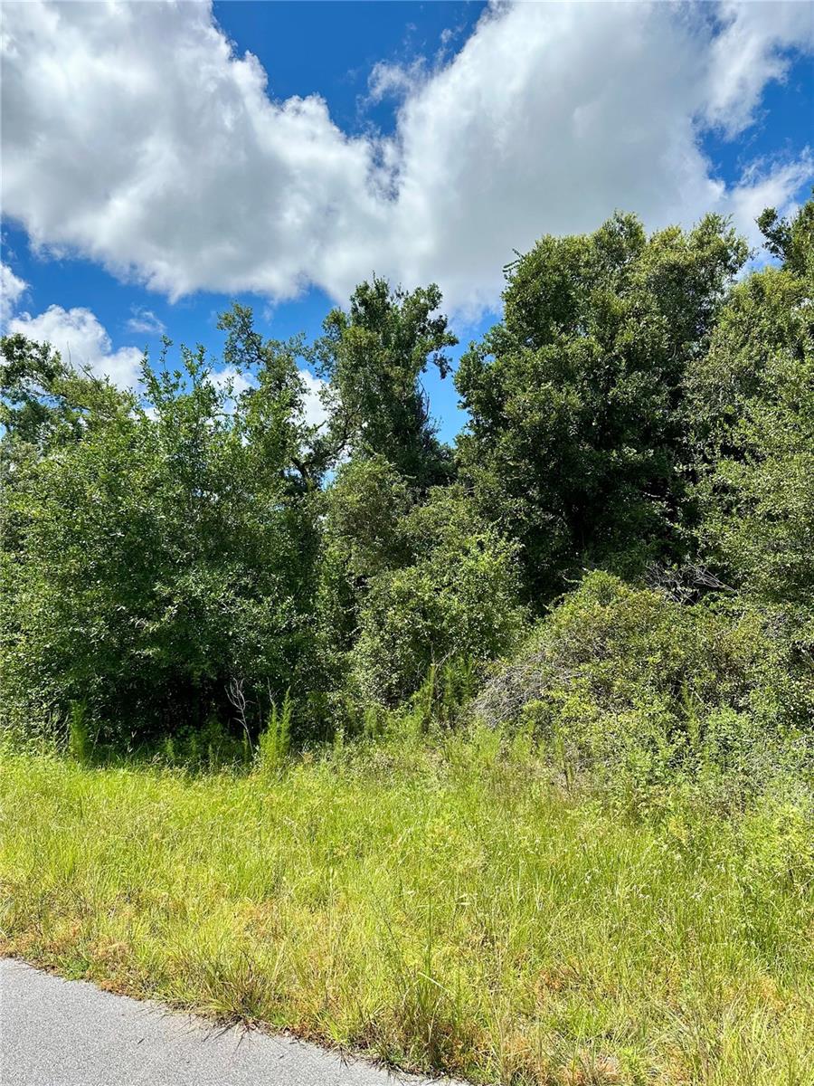 Details for Constitution Drive, NORTH PORT, FL 34291