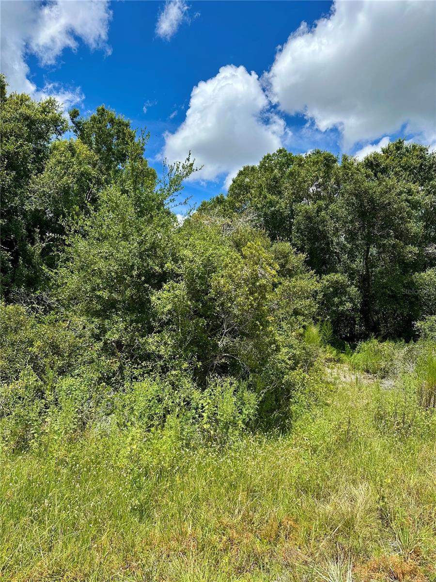 Image 2 of 5 For Constitution Drive