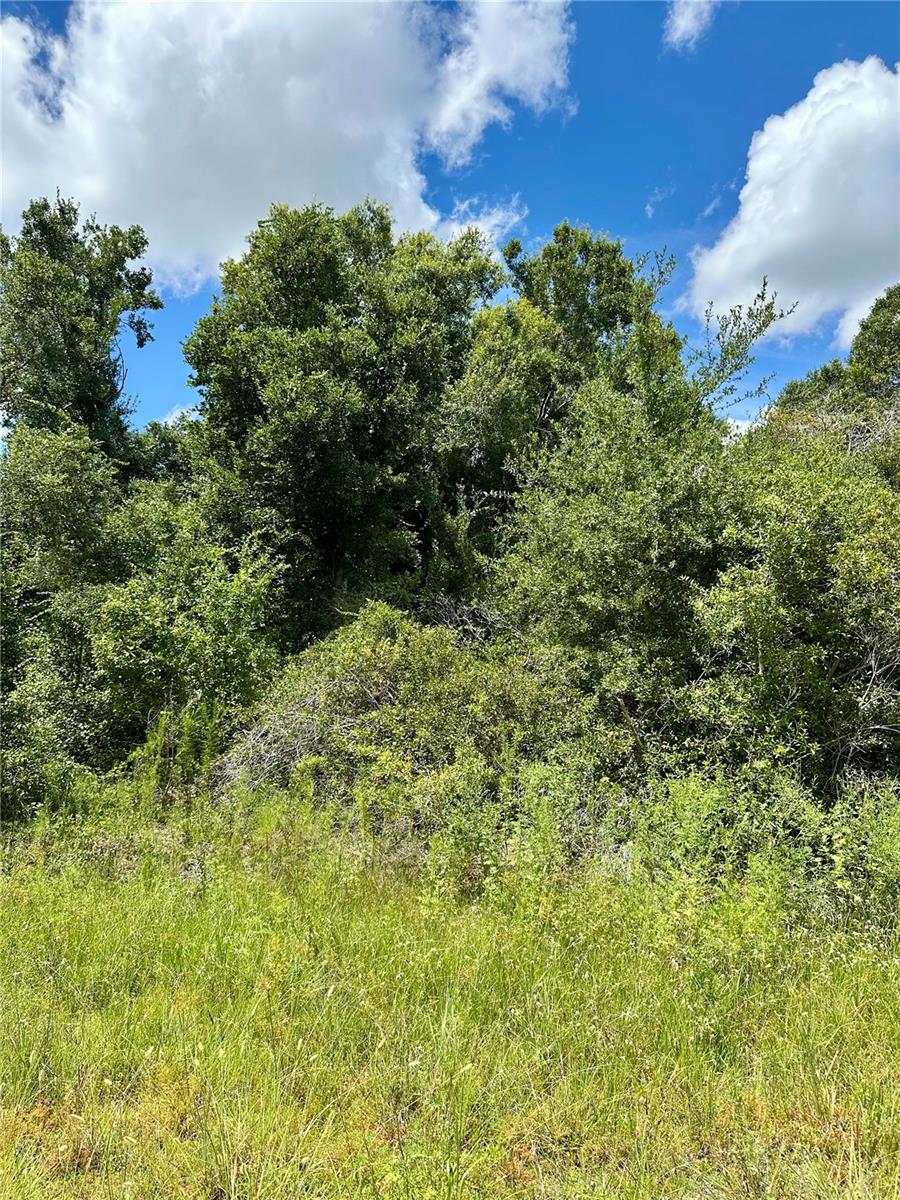 Image 3 of 5 For Constitution Drive