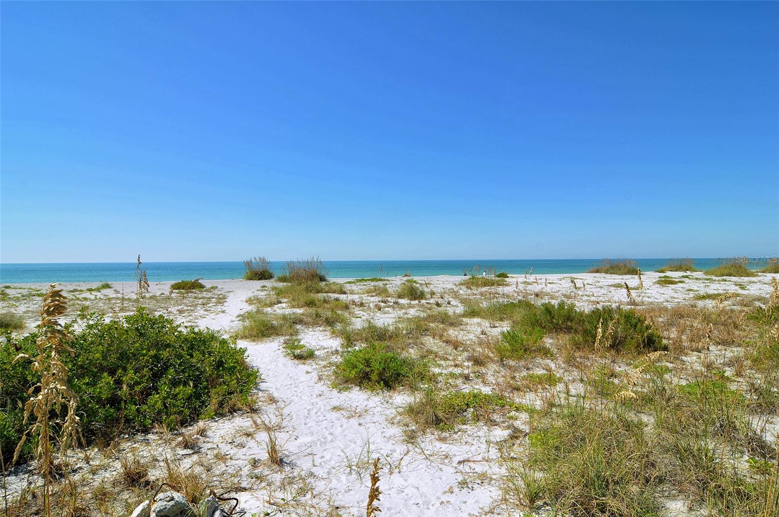 Image 39 of 60 For 6800 Gulf Of Mexico Drive  203