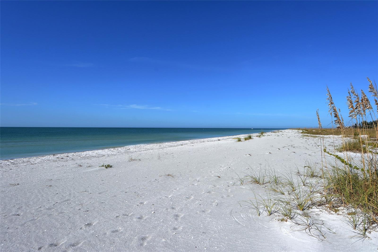 Image 47 of 60 For 6800 Gulf Of Mexico Drive  203