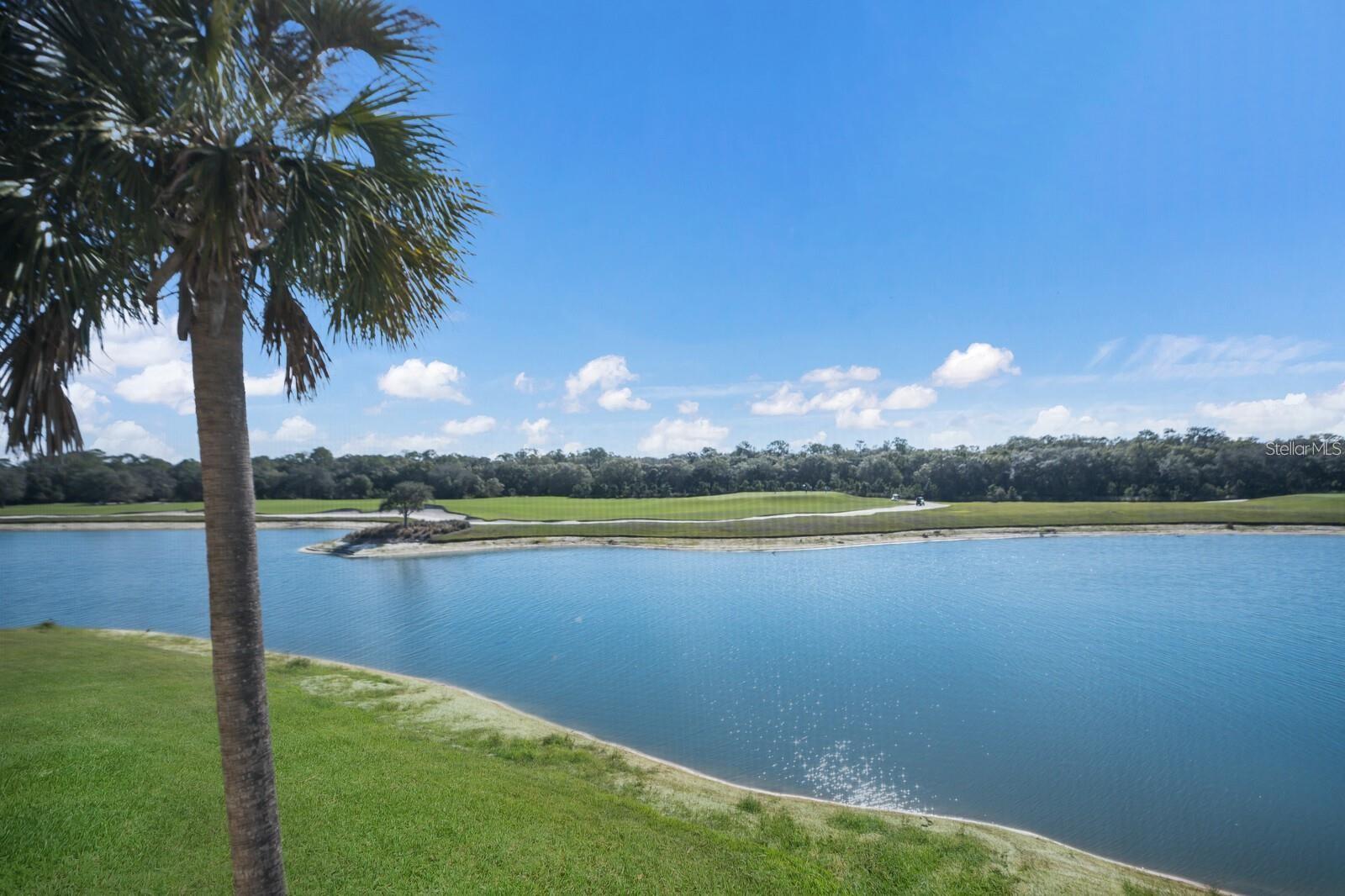 Image 29 of 57 For 16904 Vardon Terrace 304