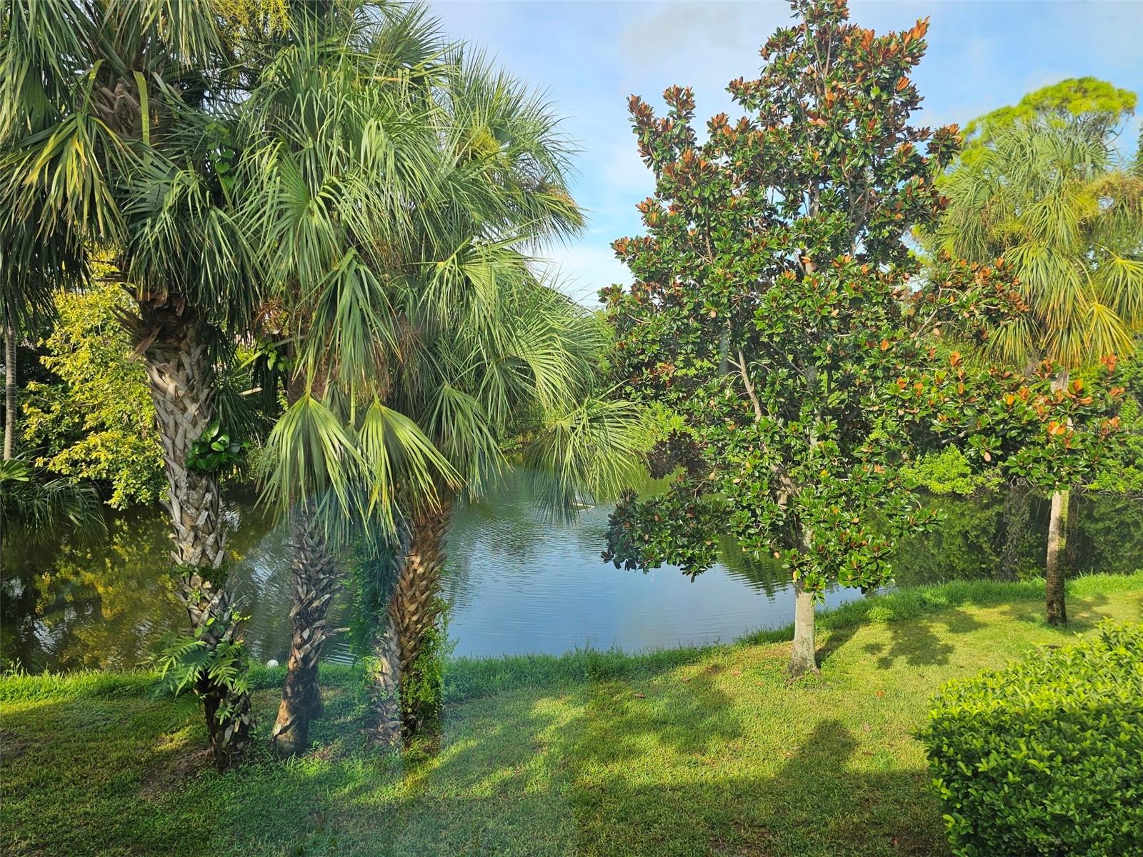 Image 24 of 26 For 586 Lakeside Drive 586