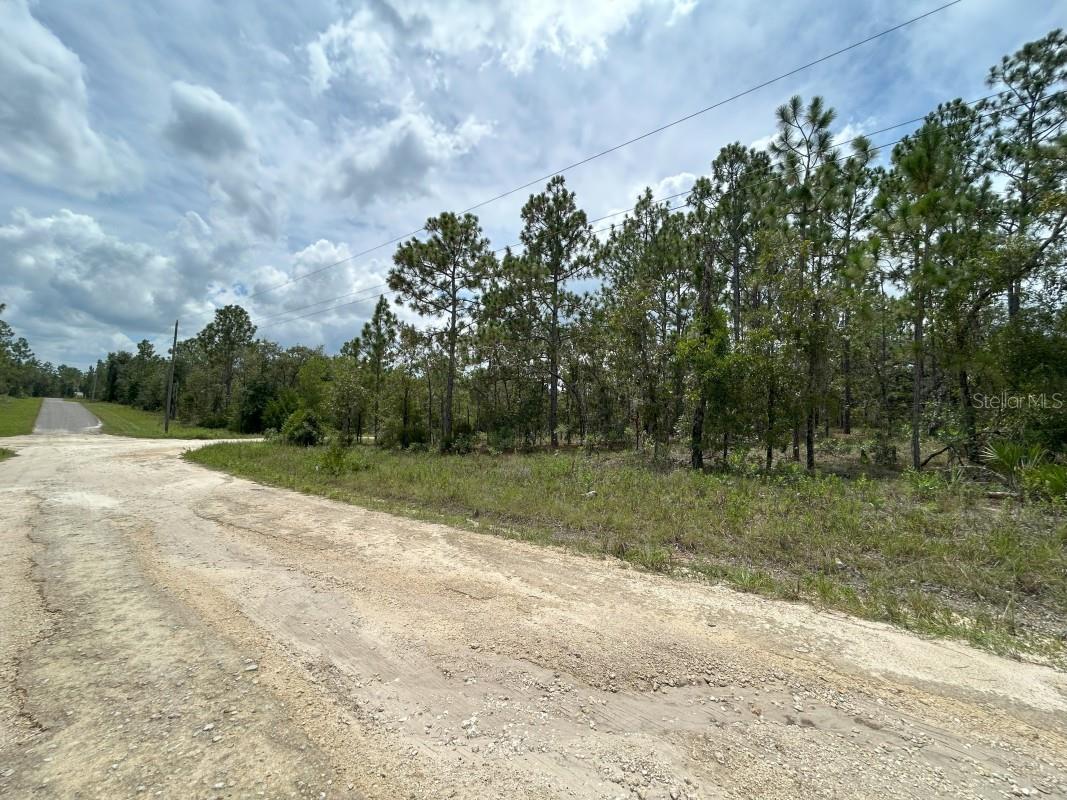 Details for Lot 6 152nd Court, WILLISTON, FL 32696