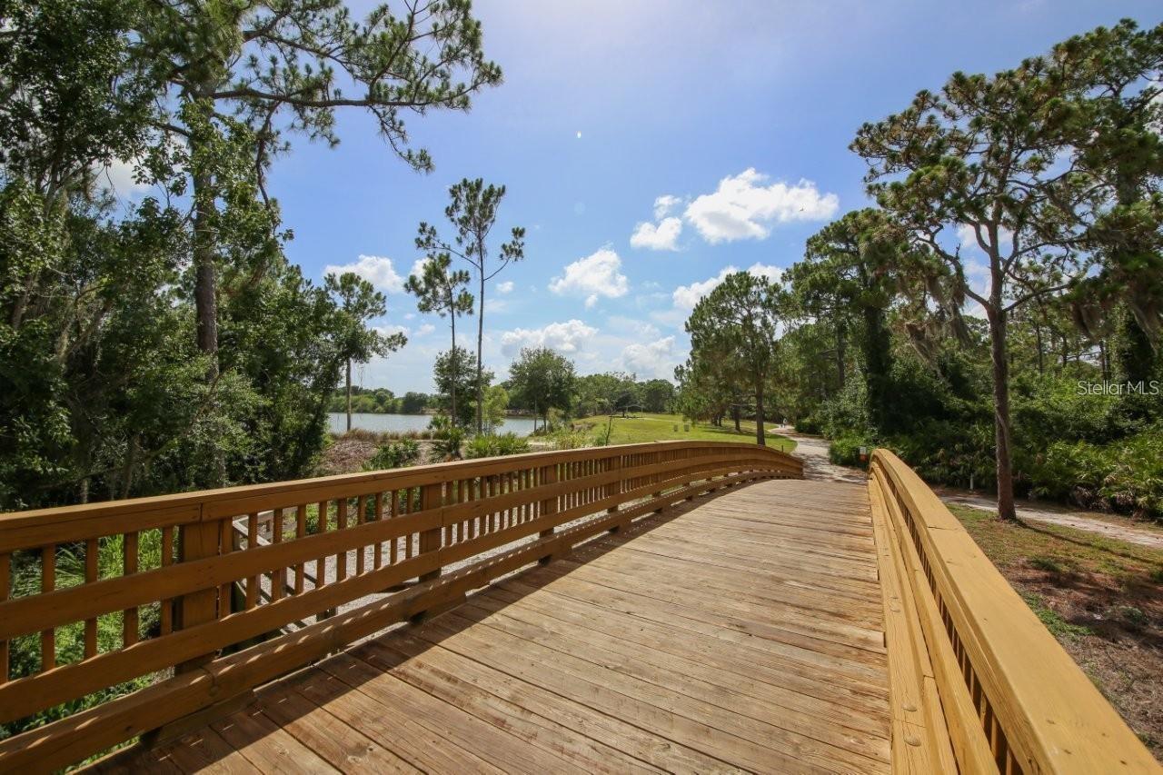 Image 48 of 48 For 14741 Amberjack Terrace