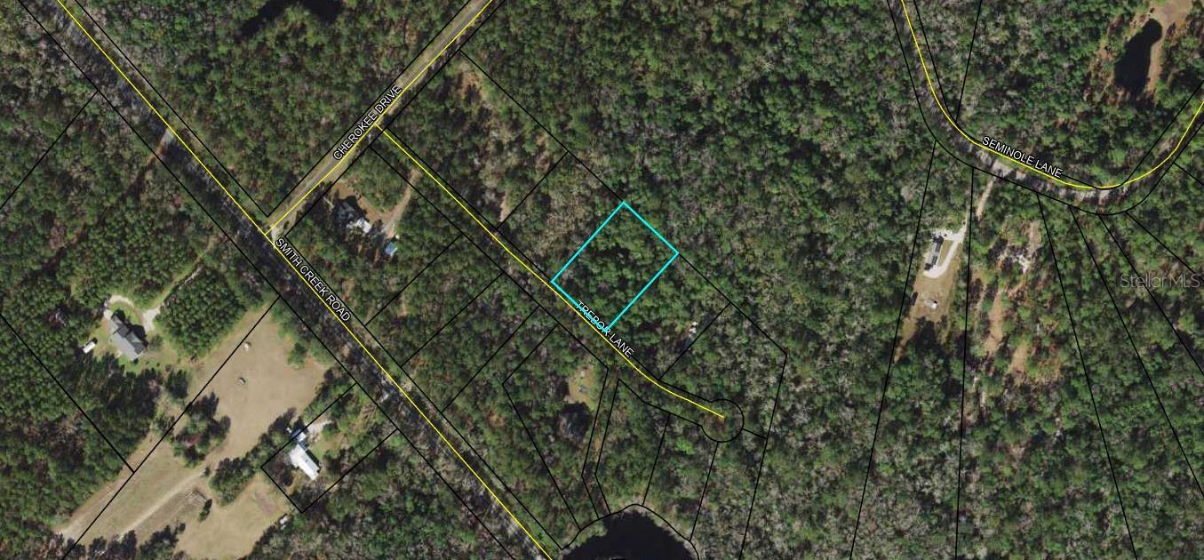 Details for  Trebor Lane , SOPCHOPPY, FL 32358