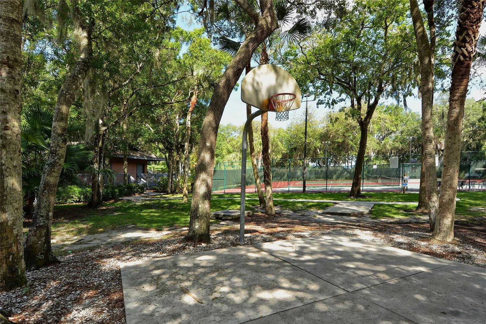 Listing photo id 49 for 4326 Oak View Drive