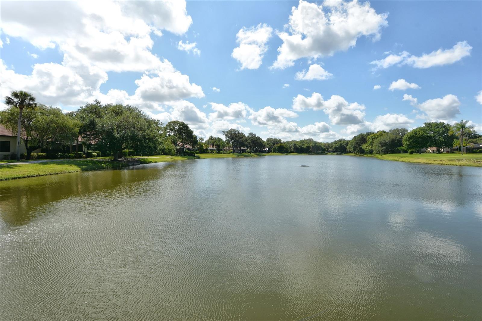 Listing photo id 55 for 4326 Oak View Drive