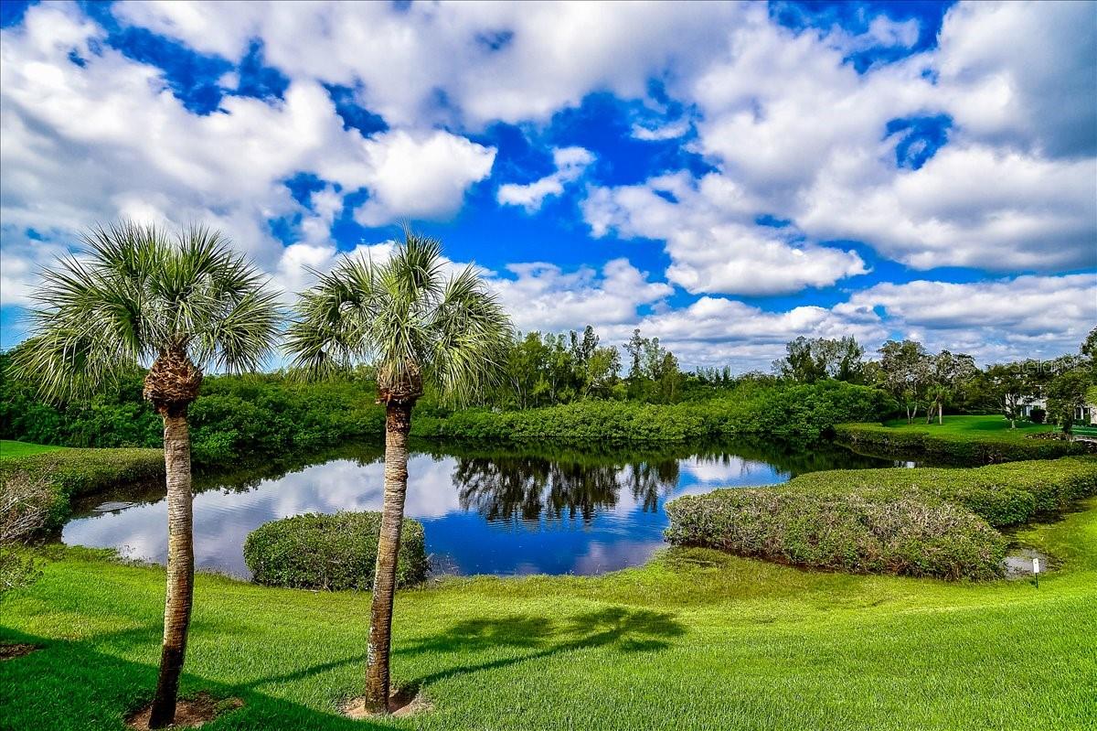 Image 33 of 51 For 811 Waterside Drive 205