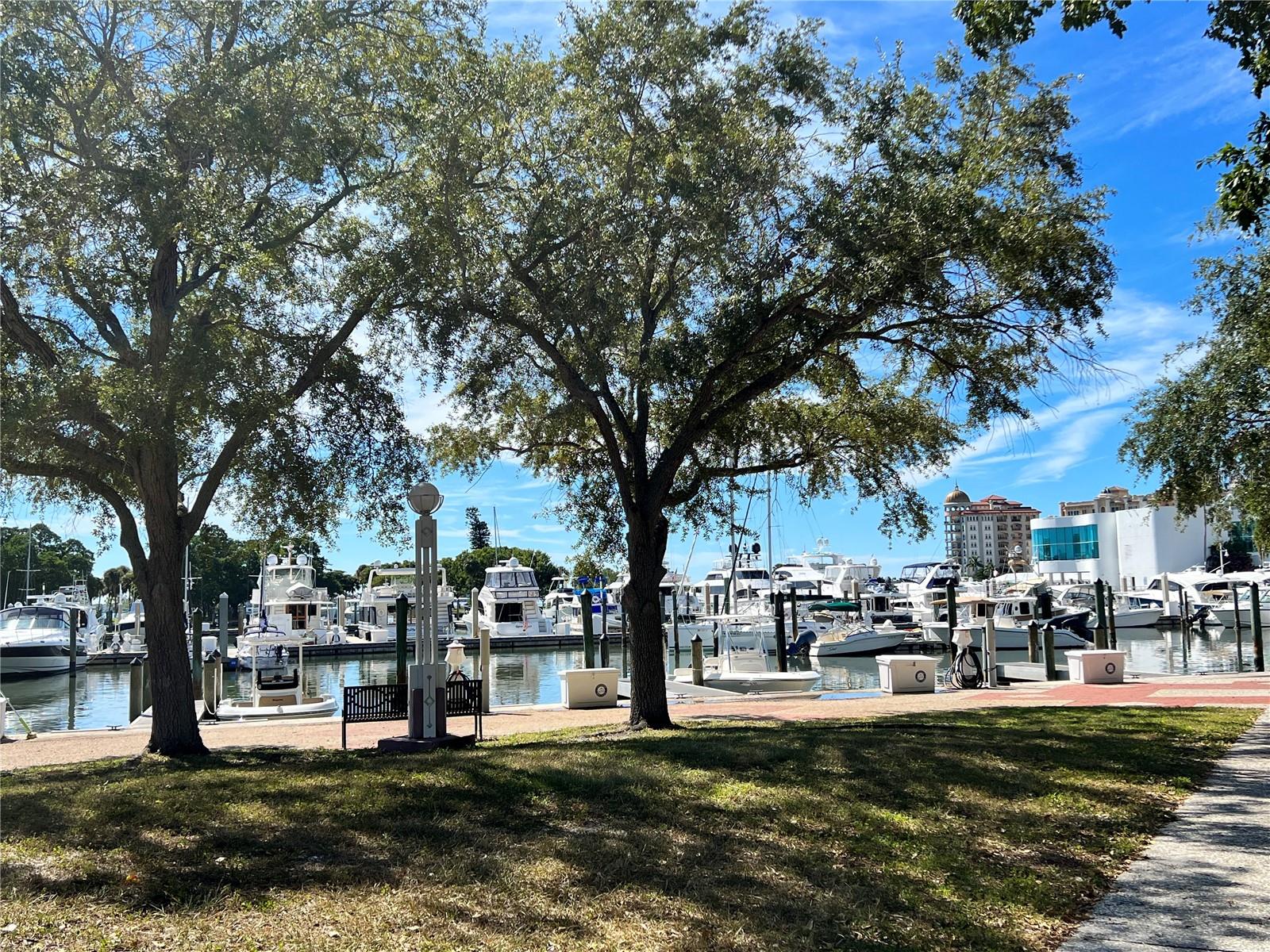 Image 30 of 31 For 850 Tamiami Trail 721