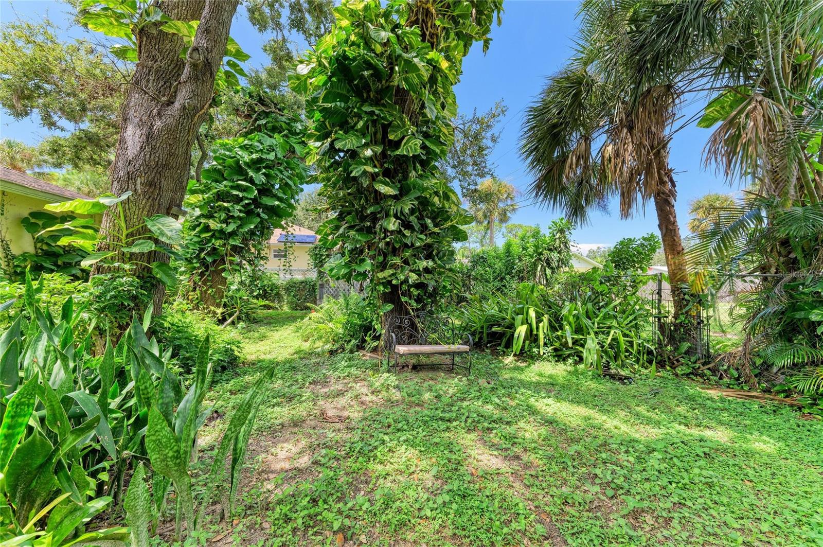 Image 25 of 27 For 620 Burke Road