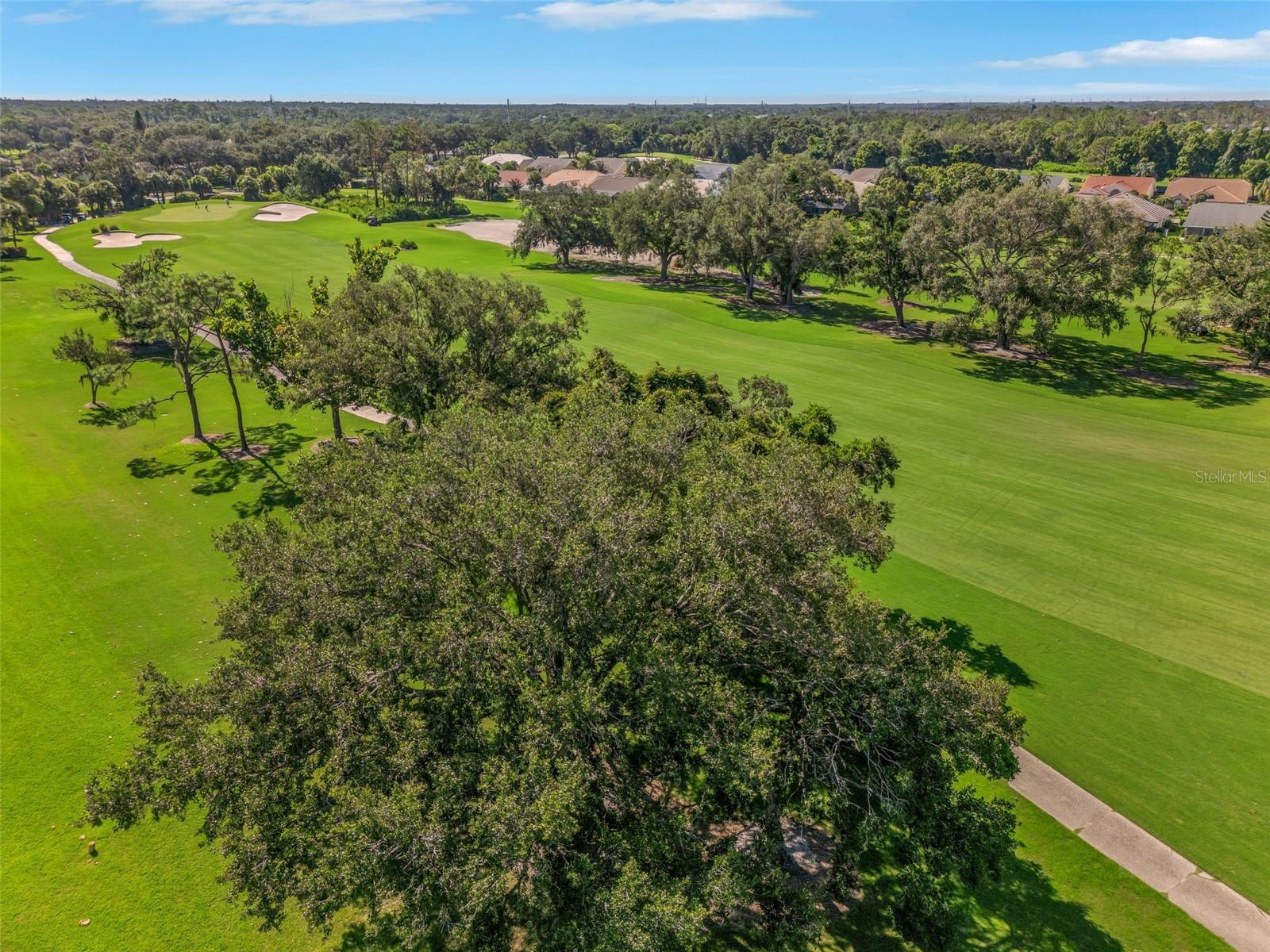 Image 25 of 27 For 6908 Drewrys Bluff 704