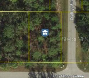 Listing Details for Lady Slipper Avenue, NORTH PORT, FL 34291