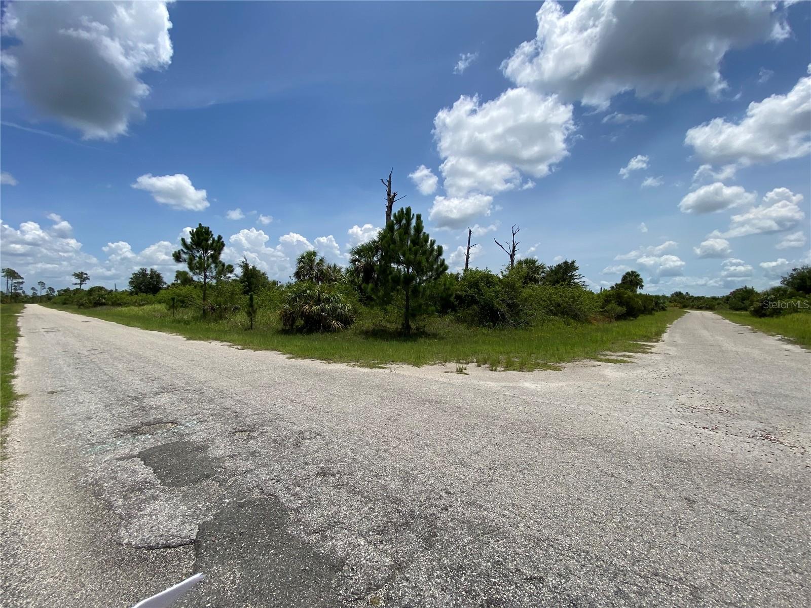 Details for Blueleaf Drive, NORTH PORT, FL 34288