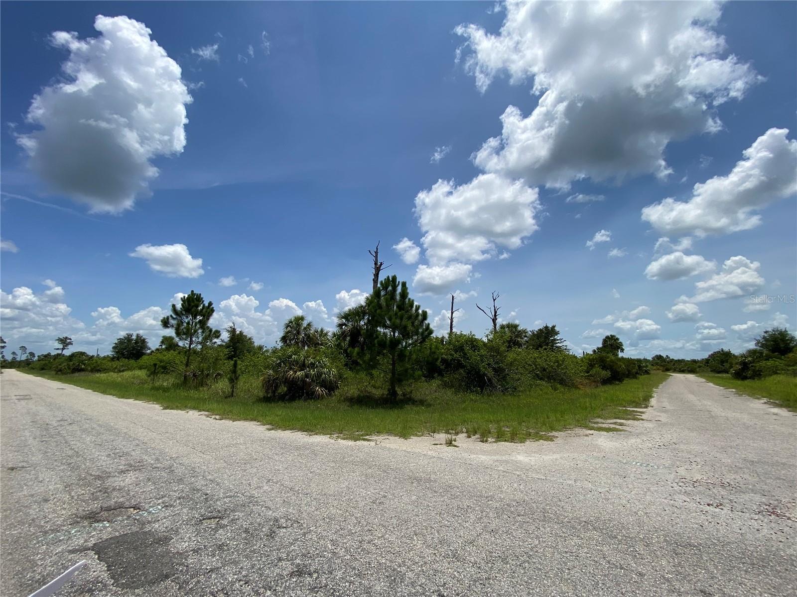 Image 2 of 9 For Blueleaf Drive