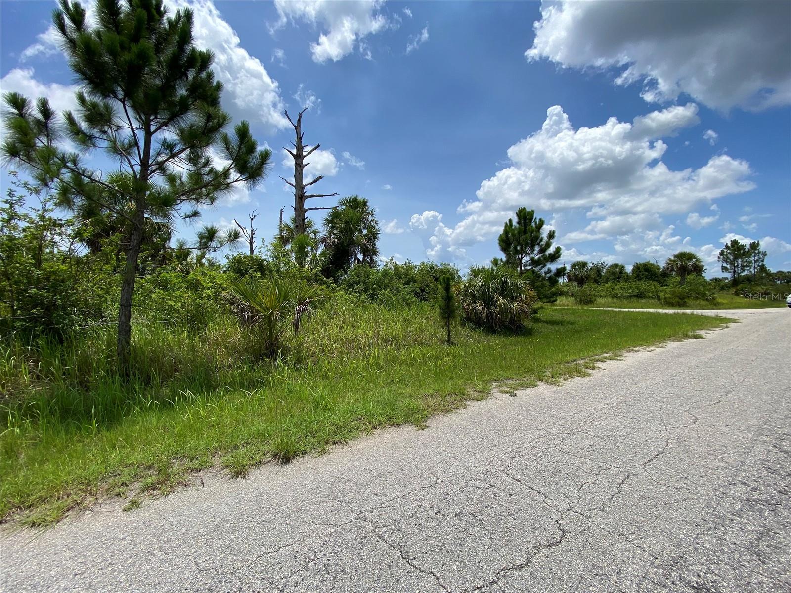 Image 3 of 9 For Blueleaf Drive