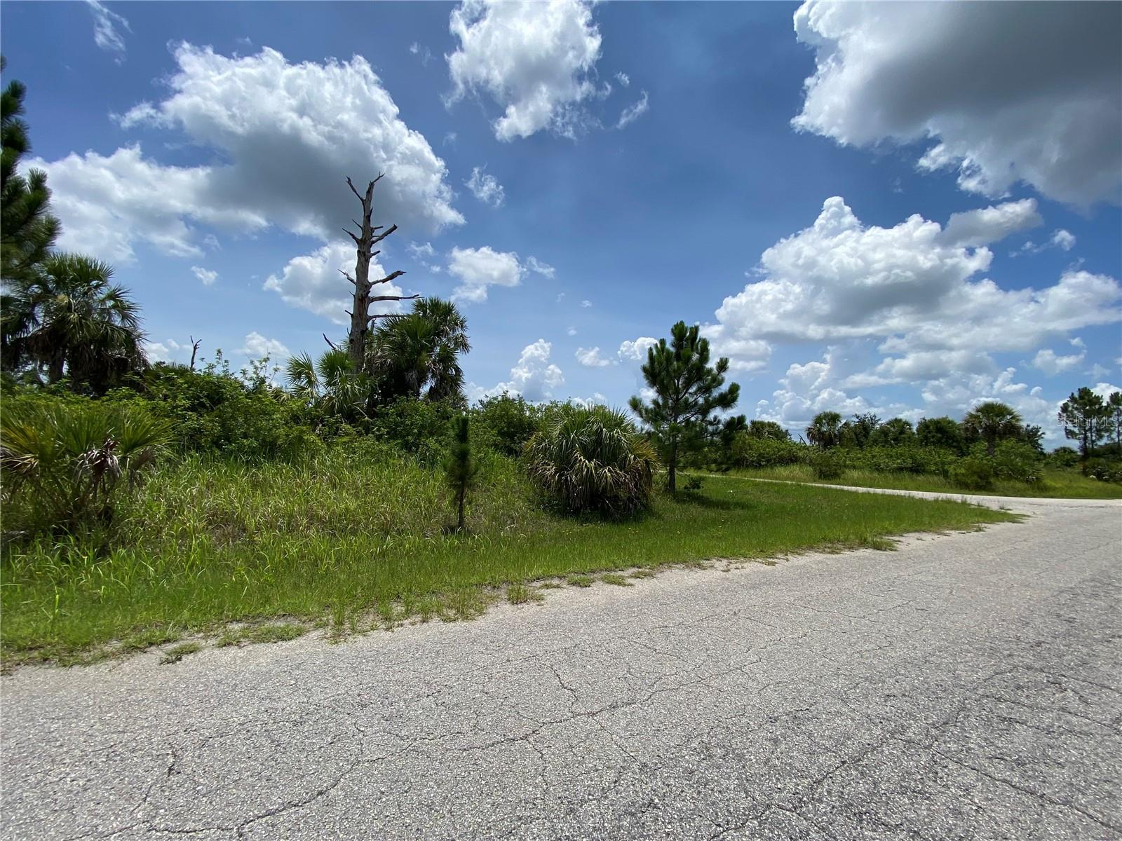 Image 4 of 9 For Blueleaf Drive