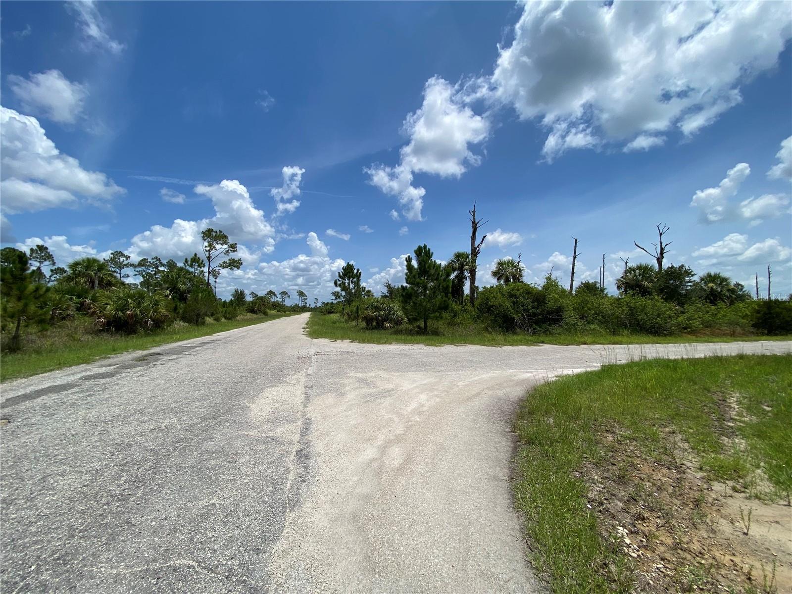 Image 5 of 9 For Blueleaf Drive