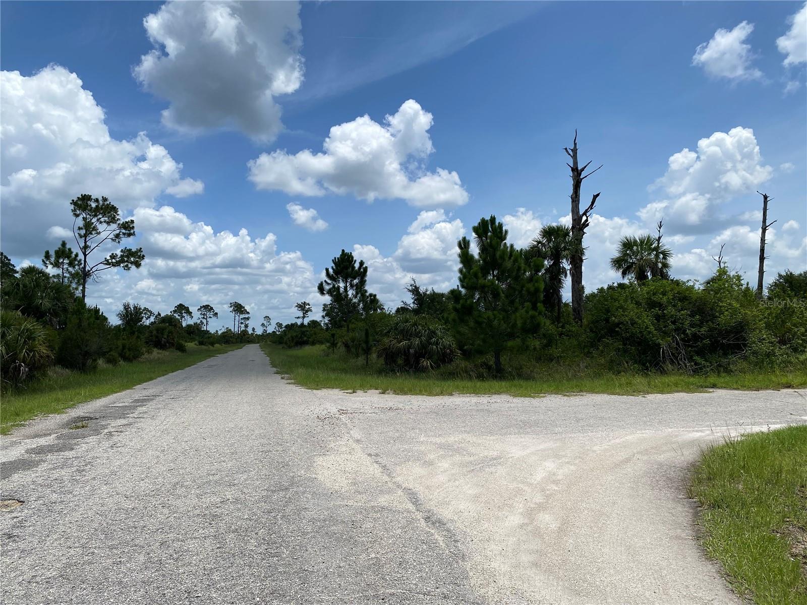 Image 7 of 9 For Blueleaf Drive