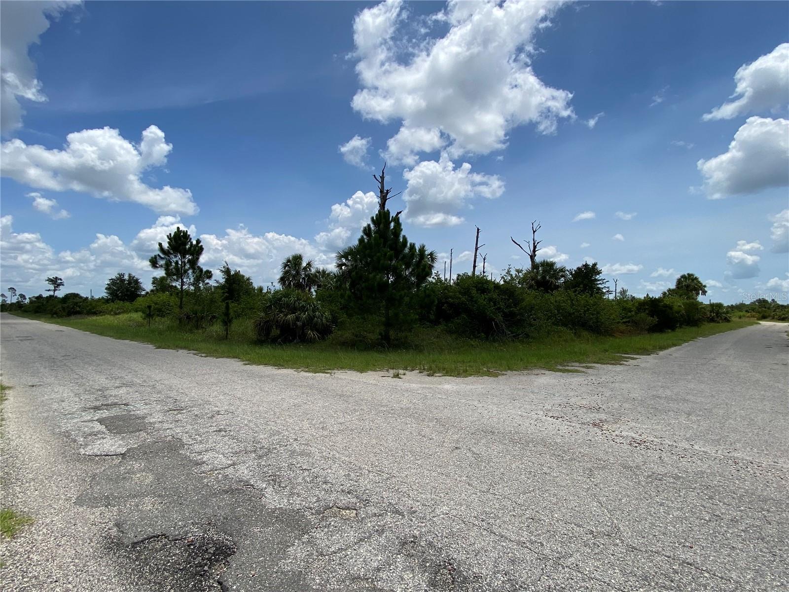 Image 8 of 9 For Blueleaf Drive