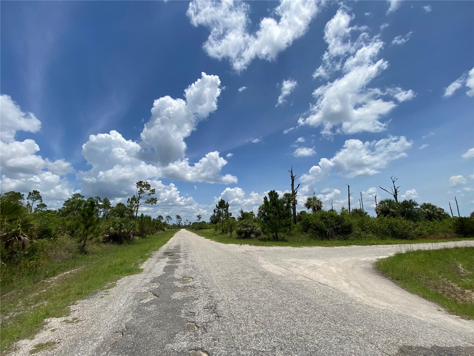 Image 9 of 9 For Blueleaf Drive