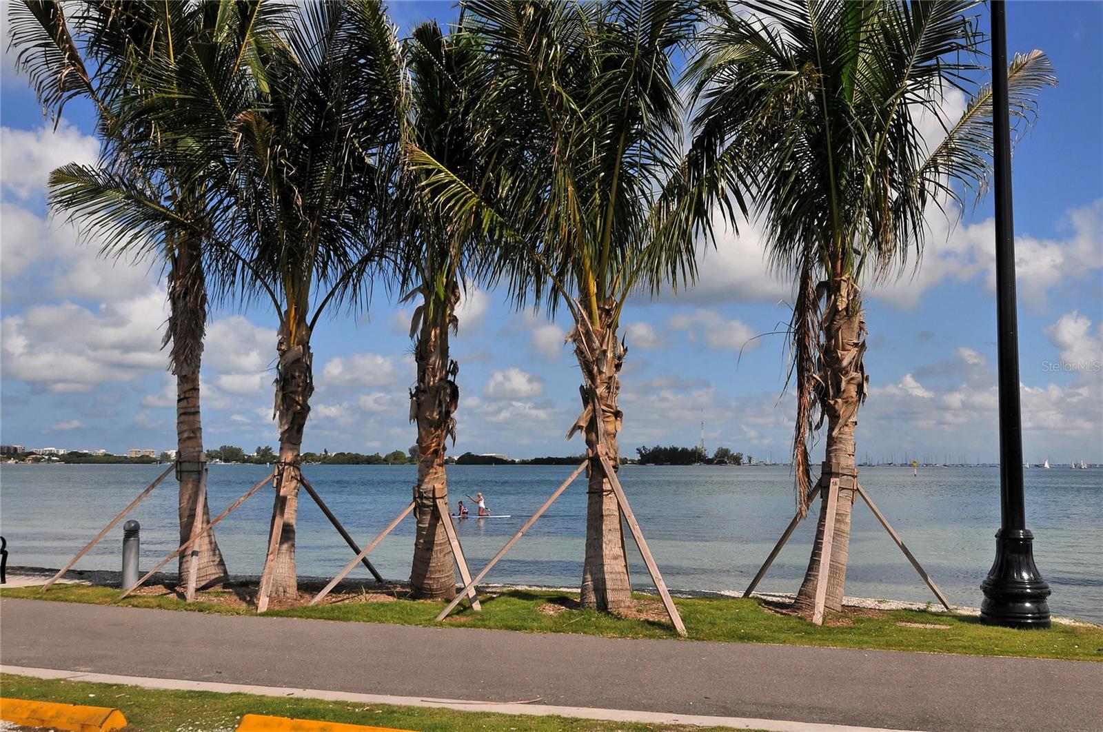 Image 33 of 47 For 567 Bird Key Drive