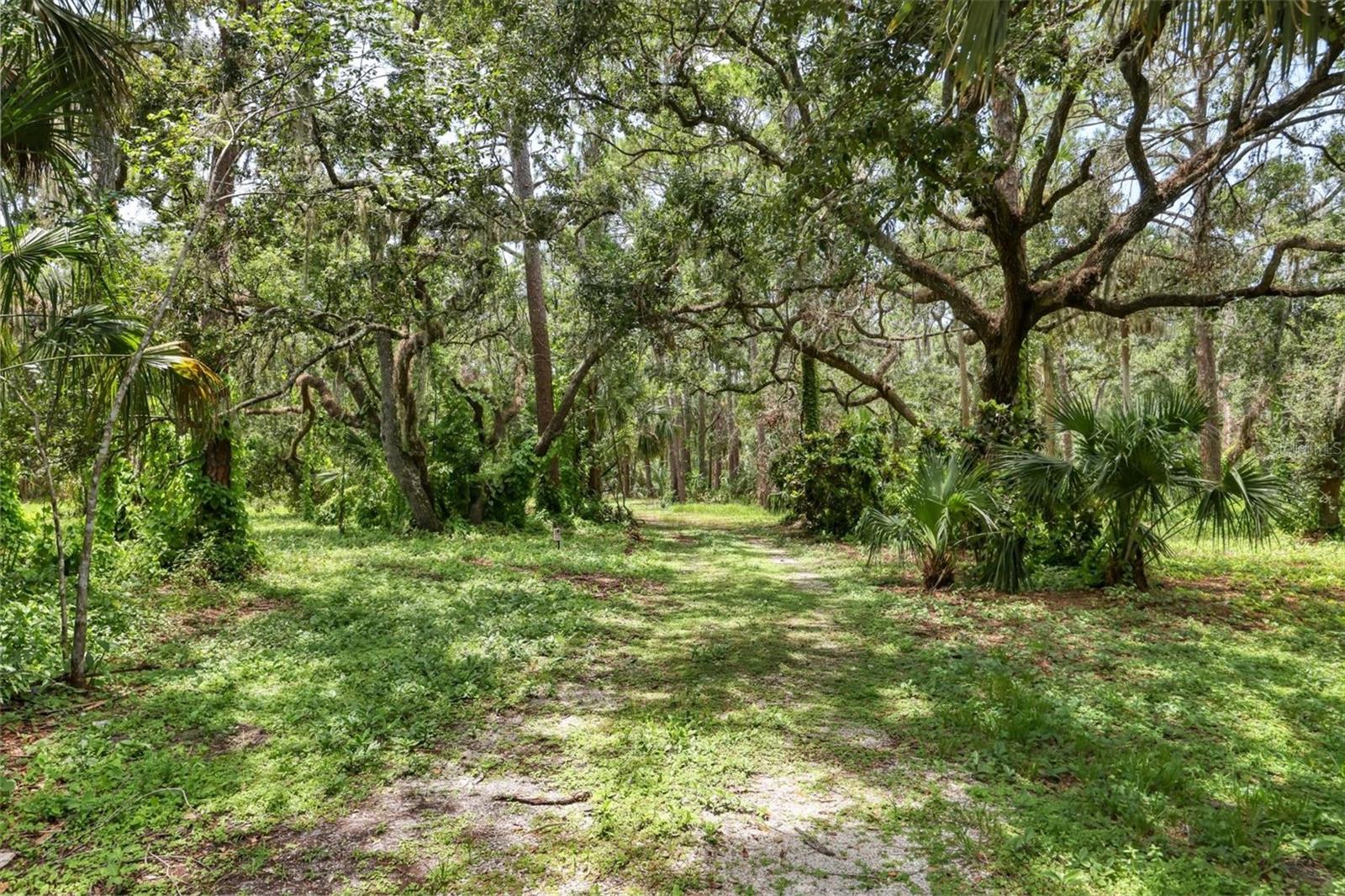 Image 11 of 16 For 7907 Brower Drive