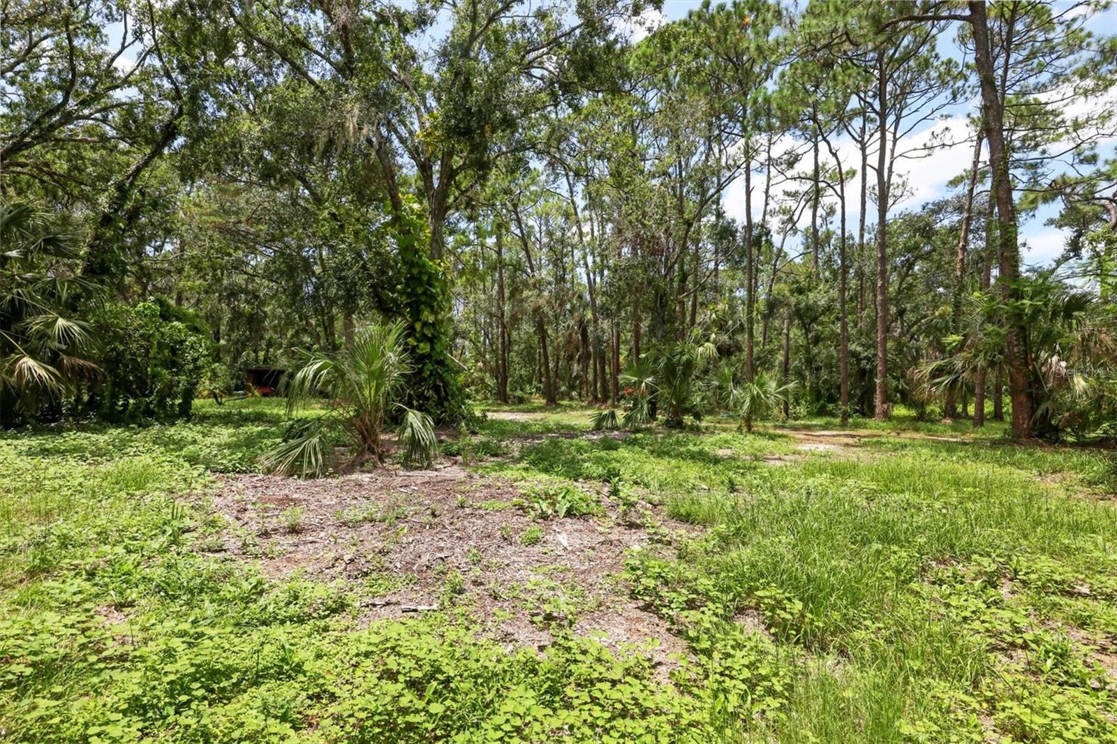 Image 12 of 16 For 7907 Brower Drive
