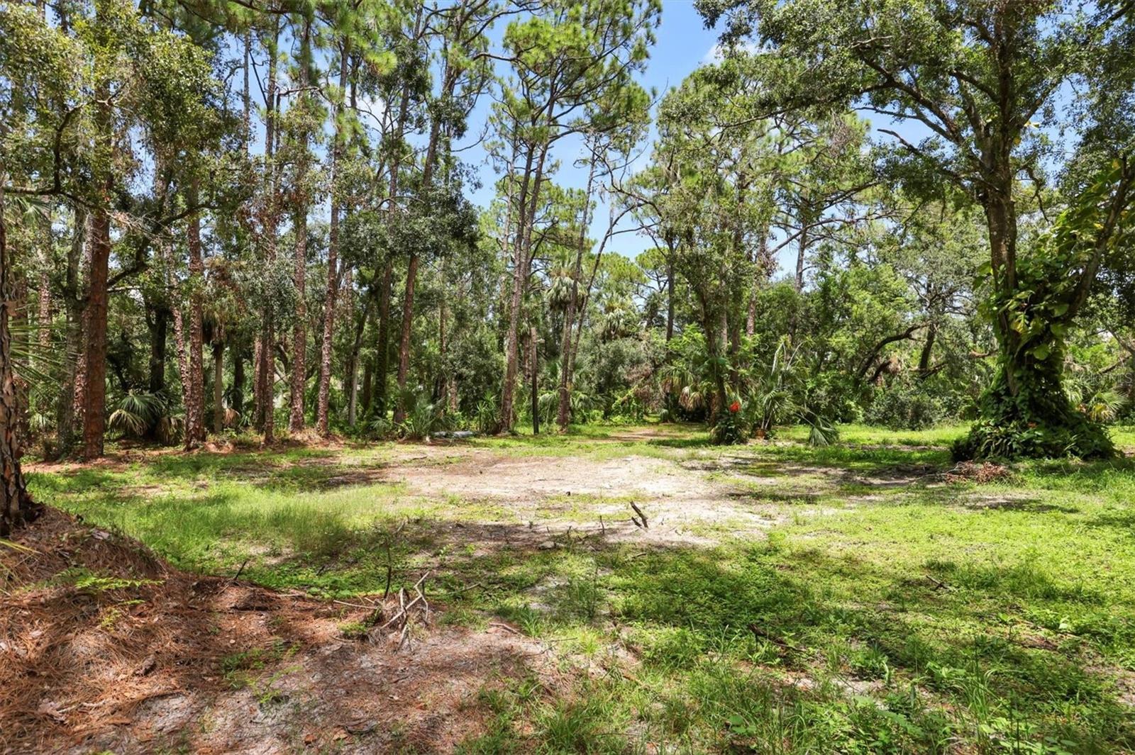 Image 7 of 16 For 7907 Brower Drive