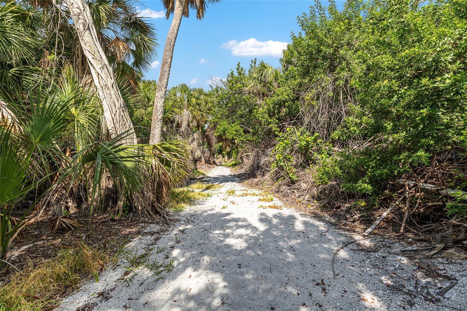 Image 39 of 57 For 8178 Little Gasparilla Island